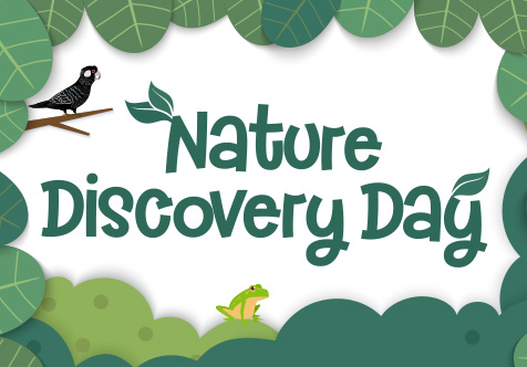 Nature Discovery Day - South Lake