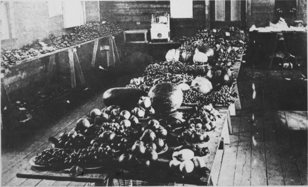 Fruit and vegetable displays at the Jandakot Agricultural Show, 1901 [picture]