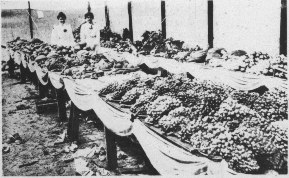 Fruit exhibit at the Jandakot Agricultural Show, 1902 [picture]
