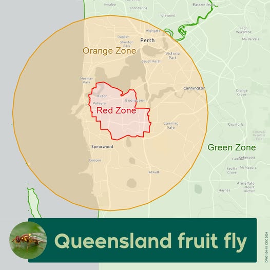 Quarantine zone for Queensland fruit fly