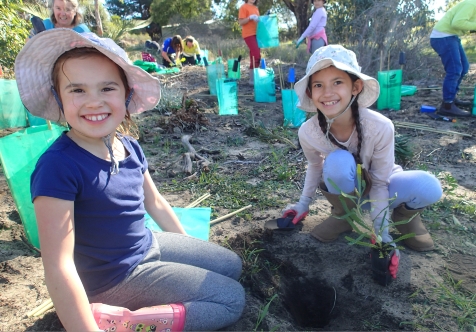 Community Planting Day - Coogee Beach